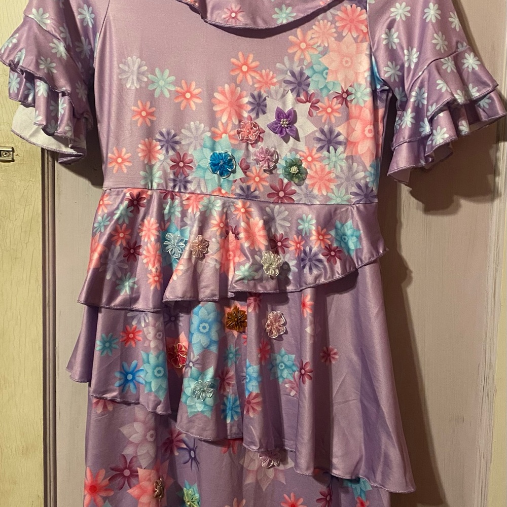 Isabella encanta dress with flowers